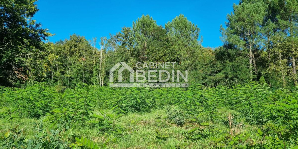 terrain à ST AUBIN DE MEDOC (33160)
